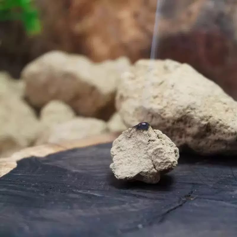 Agarwood Balls